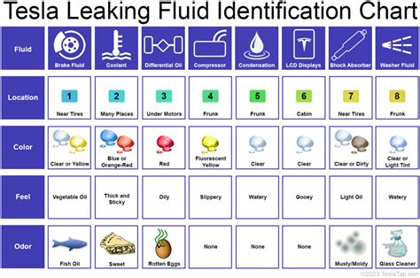 tesla leaking water underneath|Tesla Fluid Leak Identifier – TeslaTap